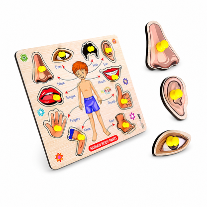 Body parts wooden puzzle toy for kids