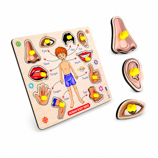 Body parts wooden puzzle toy for kids