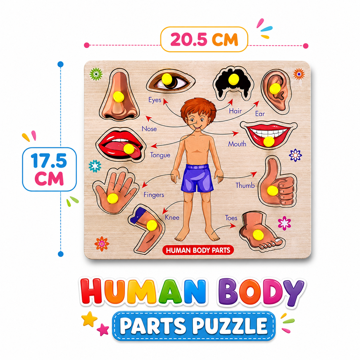 Human body parts learning puzzle for children