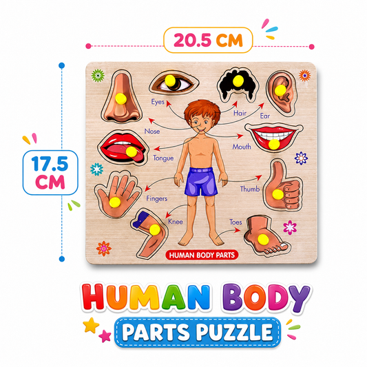 Human body parts learning puzzle for children
