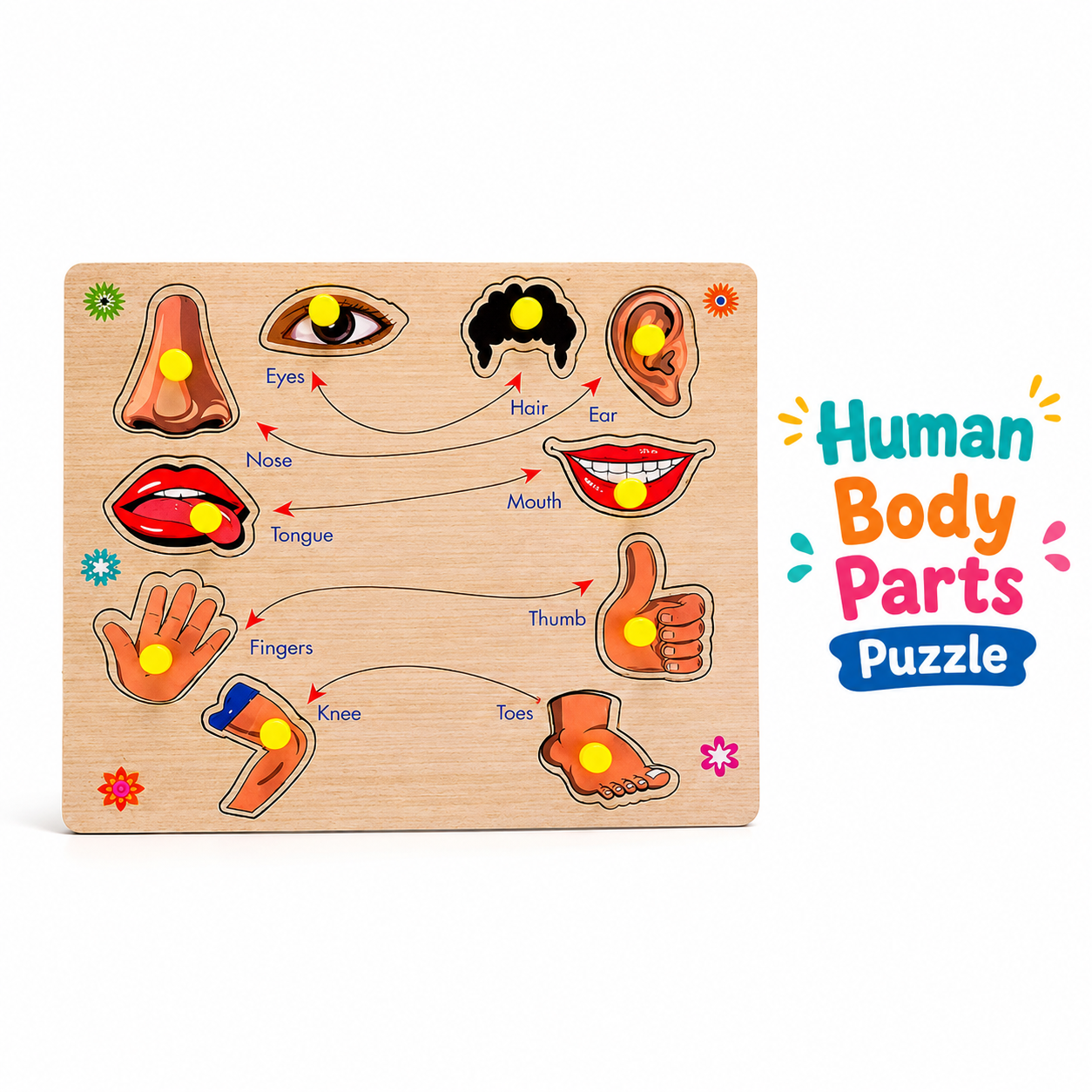 Wooden body parts puzzle educational toy