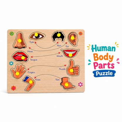 Wooden body parts puzzle educational toy